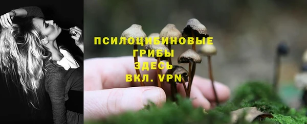 гидропоника Абинск